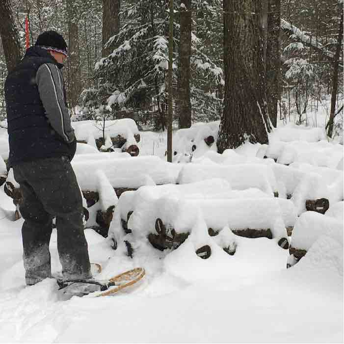 man looking at logs covered with snow