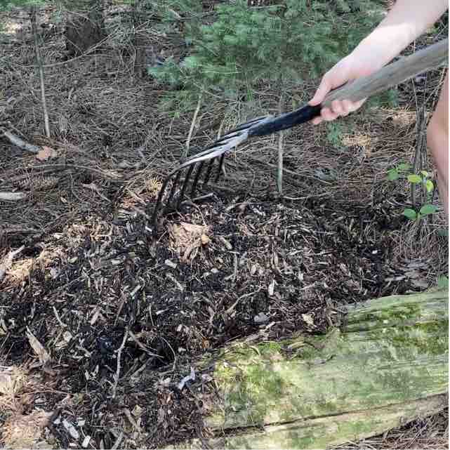 Arm holding pitchfork at a diagonal, moving woodchips from a pile on the forest floor