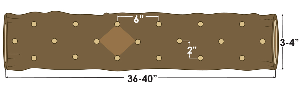 log diamond drill pattern