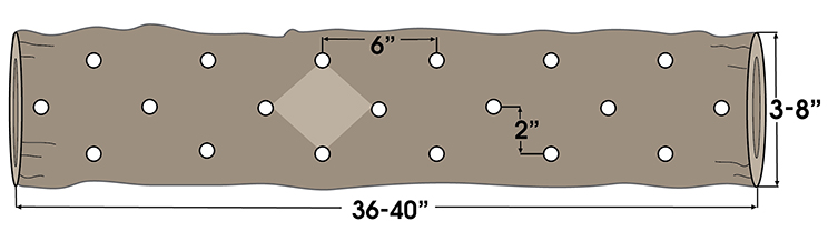 diamond drill pattern for log inoculation